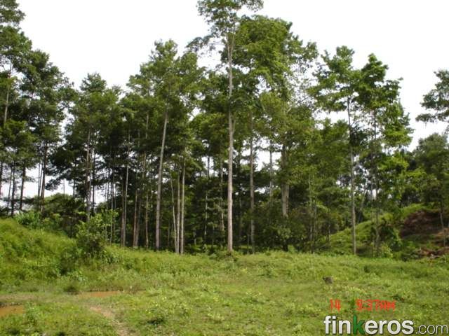 VENDO FINCA CERCA HIDROSOGAMOSO - Finca en Lebrija, Santander